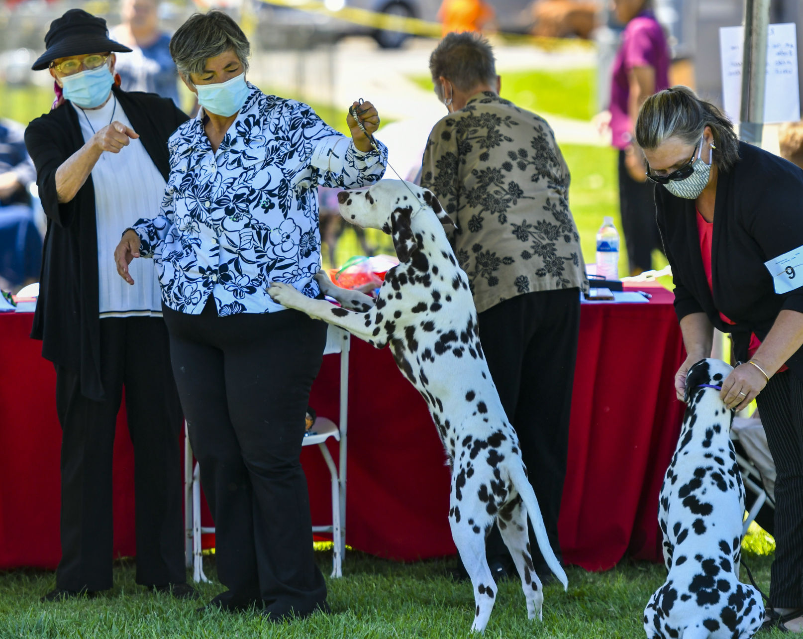 073121 Dog show 10.JPG
